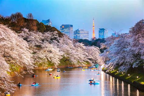 The Top Destinations To Visit In Japan