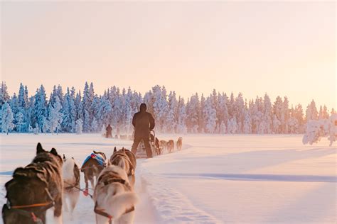 Lapland Travel Beleef Een Ultieme én Betaalbare Winterreis Huskys