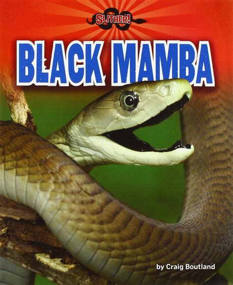 Black Mamba Ubicaciondepersonascdmxgobmx