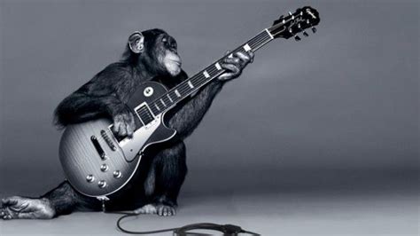 Monkey With Guitar Playing Guitar Guitar Music Instruments