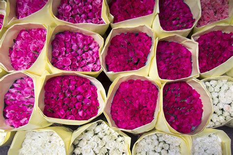 They offer lots of free growing information and other. What to look for when buying wholesale flowers - Flower Flow