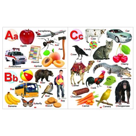 My First Board Book Abc Picture Dictionary Four In One