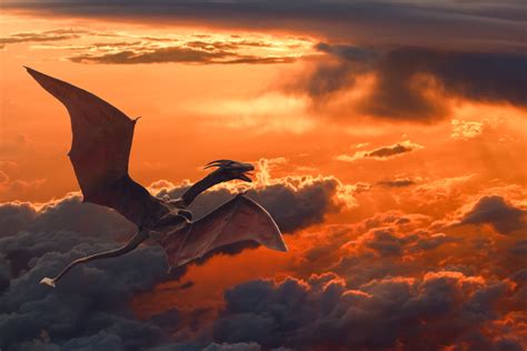 Flying Dinosaur Wallpapers Top Free Flying Dinosaur Backgrounds