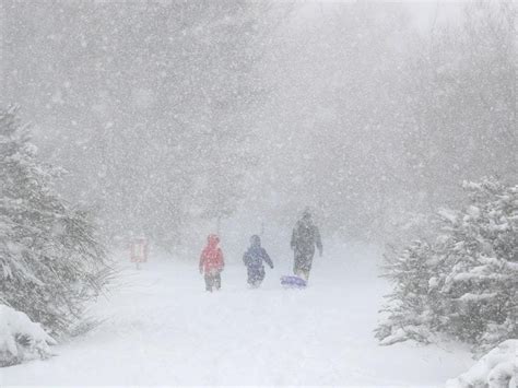 Storm Emma Brings Blizzards To Snow Hit Uk Shropshire Star