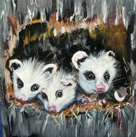Opossum Art Animal Art Awesome Possum Art