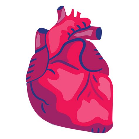 Heart Organ Flat Transparent Png And Svg Vector File