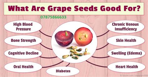 Grape seed extract has an incredible antioxidant potential with its flavonoid phytonutrients. Proyoung Magic: Grape Seed Extract health benefits