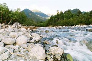 Altai, Nature, Reserve