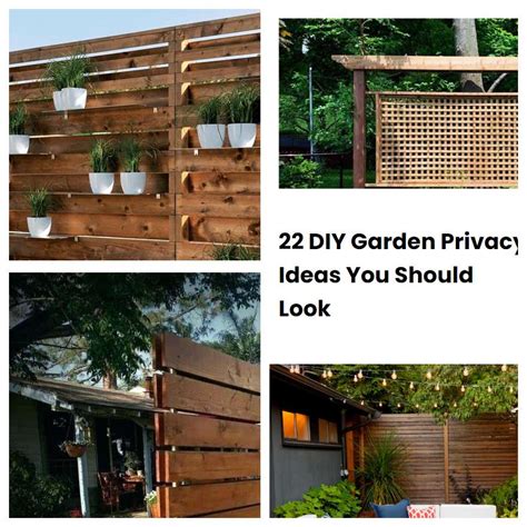 22 Diy Garden Privacy Ideas You Should Look Sharonsable