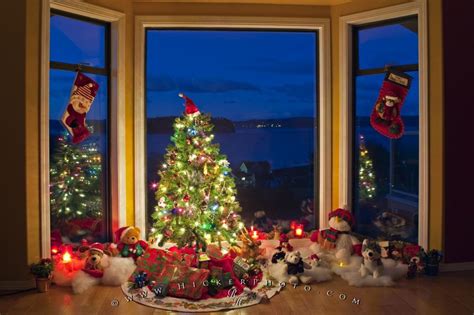 Christmas Stockings Tree Scene Photo Information