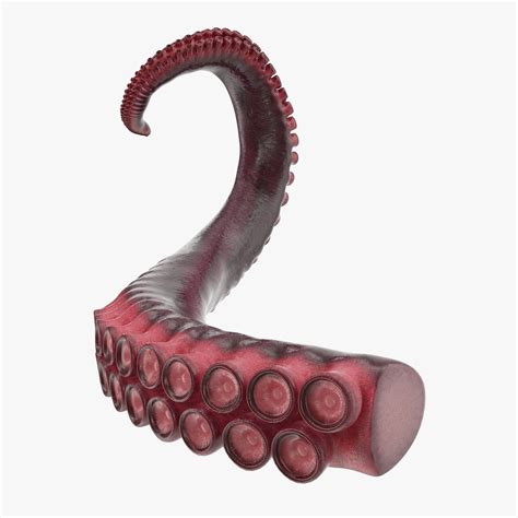 Tentacle Of Octopus 3D Model 49 3ds C4d Fbx Ma Obj Max Free3D