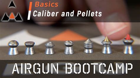 Airgun Pellet Calibers And Types Airgun Bootcamp Youtube