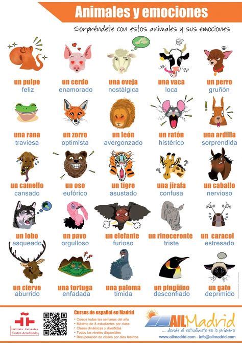 Las Mascotas Animales Domésticos En Español Vocabulario Español