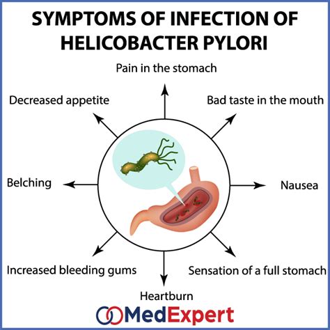 Antibiotics For Helicobacter Pylori Infection