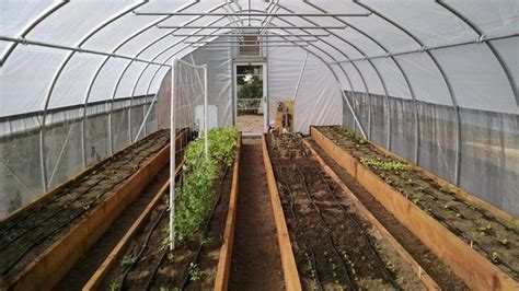 5 Ways To Make More Money With A High Tunnel Hoop House Backyard