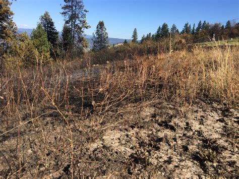 ‘it Could Have Been Potentially Catastrophic Vernon Wildfire Threatens Homes Globalnewsca