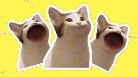 Pop Cat Meme Compilation Popcat Best Dank Memes Youtube