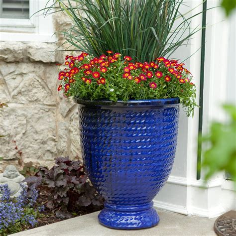 30 Tall Plants For Pots Outdoor