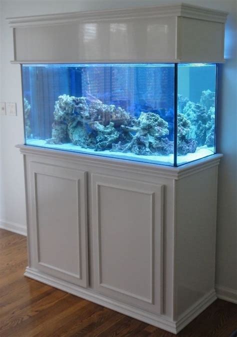 55 gallon tank feedback about water and plants: 125 Gallon Aquarium Stand And Canopy & Fluval 25 Gallon ...