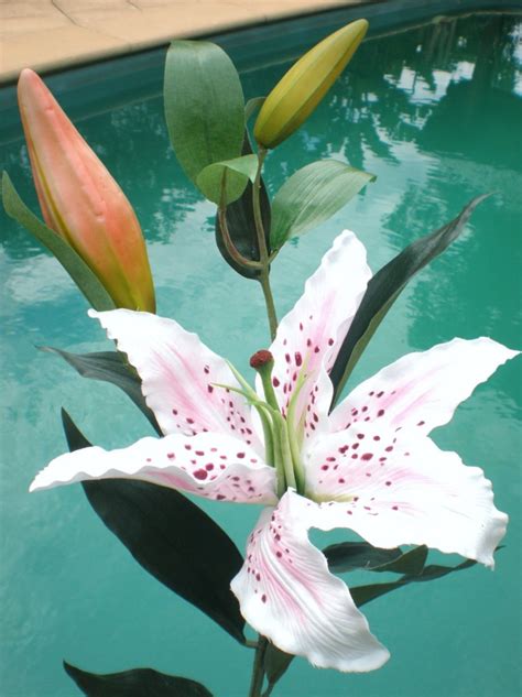 Artificial Real Touch White Lt Pink Casablanca Tiger Lily