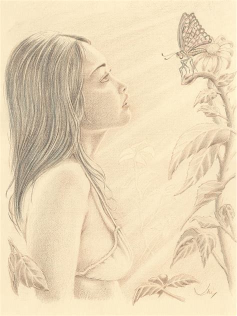 Butterfly Drawing By John D Moulton Fine Art America