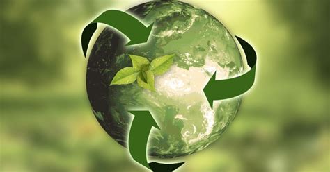 What Is Environmental Sustainability? Sustainable Development