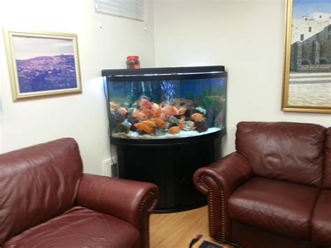 20 Aquarium In Living Room Decoomo