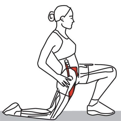 Stretching The Psoas Muscles The Psoas Major And Iliacus Are Considered Part Of The Posterior