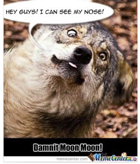 Funny Moon Moon Meme