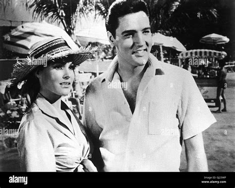 Bild Ursula Andress Mit Elvis Presley Df Stockfotografie Alamy