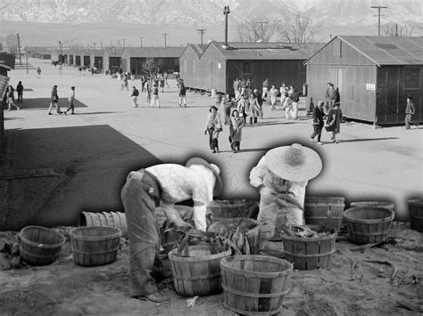 the shameful stories of environmental injustices at japanese american incarceration camps during