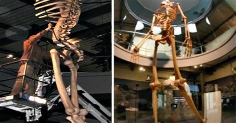 Ecuador Expose The Skeletons Of An Ancient Race Of Giant Humans 7