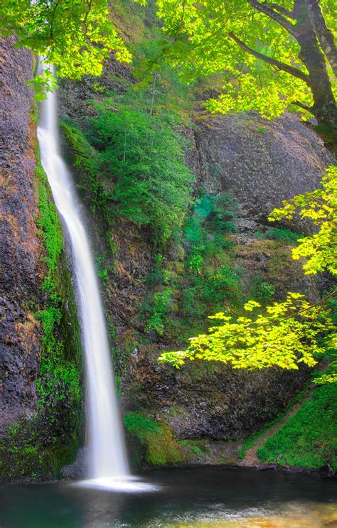 When Light And Water Falls Horsetail Falls 3b Columbia River Gorge