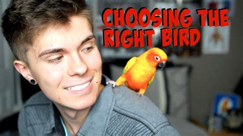 Picking your best bird bud. How to Find the Right Bird for You! - Best Beginner Birds ...