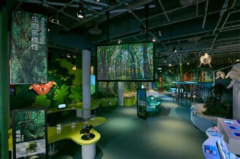 Hong Kong Science Museums New Permanent Exhibition Gallery Opens To