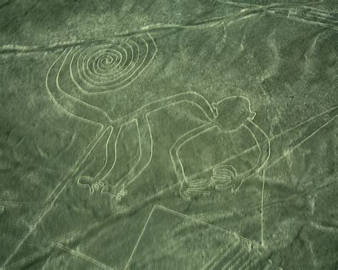 The Nazca Lines Messages To The Gods Globus Blog