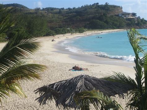 ffryes beach is a sheltered cove of sand credit caribbean beaches picture gallery cove heard