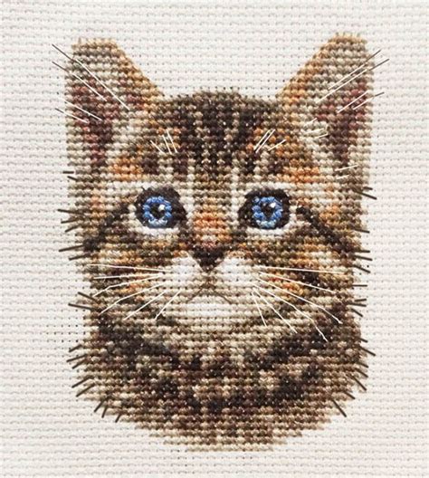 A Cross Stitch Picture Of A Cat With Blue Eyes