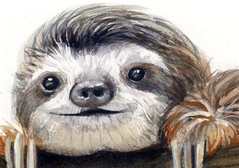 Sloth Watercolor Painting Animal Art Sloth Painting Sloth Watercolor