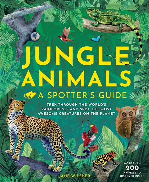 Jungle Animals Book By Jane Wilsher Official Publisher Page Simon