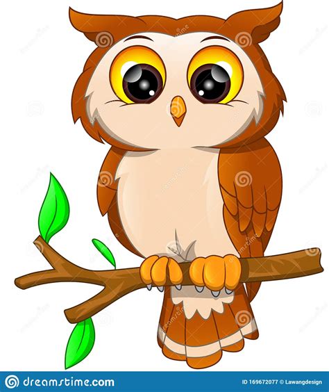 Cartoon Owl Bird Stock Vector Illustration Of Drawing 169672077