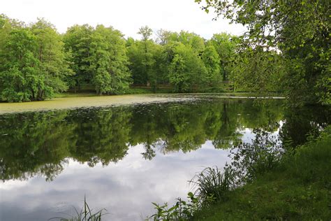 This site provides total 1 english word for innere ruhe. Innere Ruhe finden Foto & Bild | spezial, bäume, stille ...
