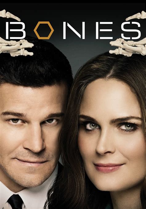 Bones Temporada 11 Ver Todos Los Episodios Online