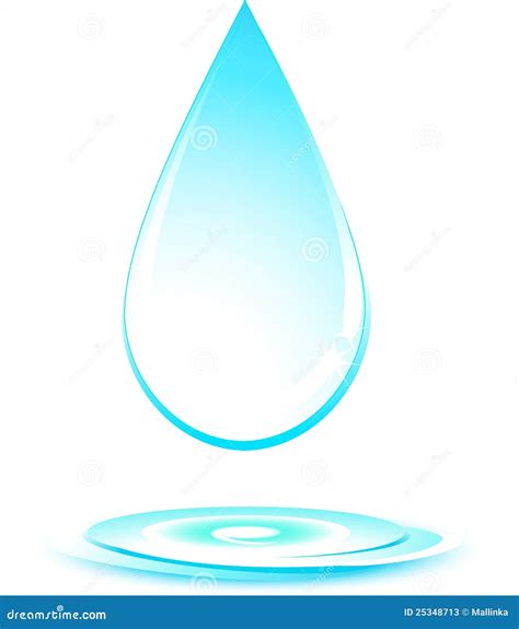 Water Drop On White Background Stock Vector Illustration Of Purity
