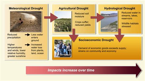 Types Of Drought Cascading Effects