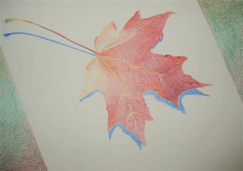 Colored Pencil Leaf By Wolfie6 On Deviantart