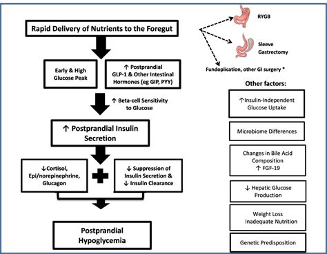 In glucagon is as effective as injectable glucagon, and devoid of most of the technical difficulties associated with administration of injectable glucagon. Use Of Glucagon And Ketogenic Hypoglycemia : Solved Explain How Taking An Sglt 2 Inhibitor Leads ...