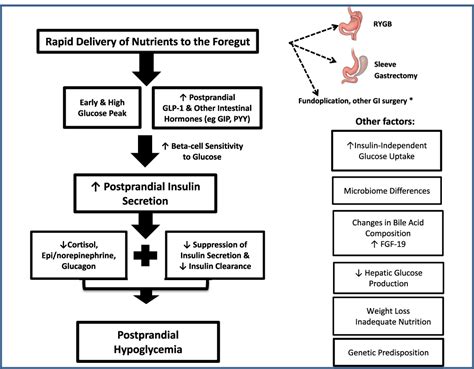 Hypoglycemia is the term for abnormally low blood sugar. Use Of Glucagon And Ketogenic Hypoglycemia : Solved ...