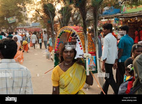 Woman With Kavadi Thaipusam Festival Hindu Festival Palani Tamil