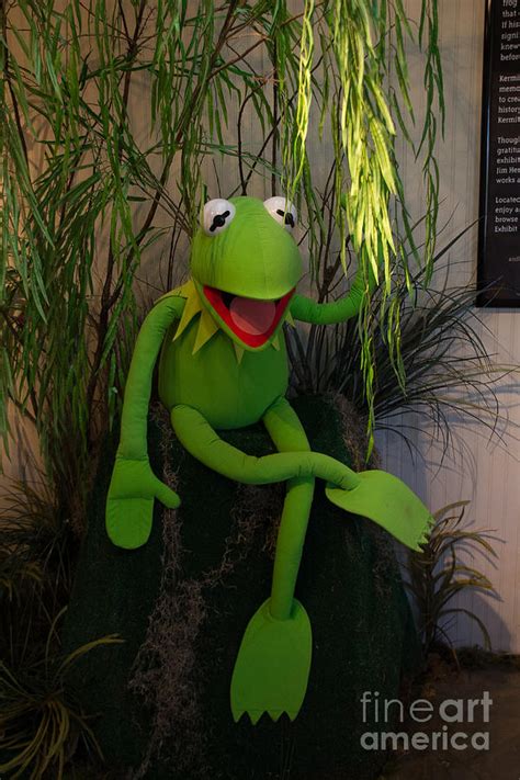 Hi Ho Kermit The Frog Here Photograph By Jim Mccain Fine Art America